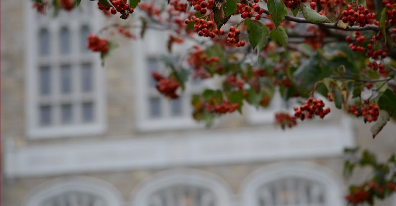 Albany Law School campus photo 1