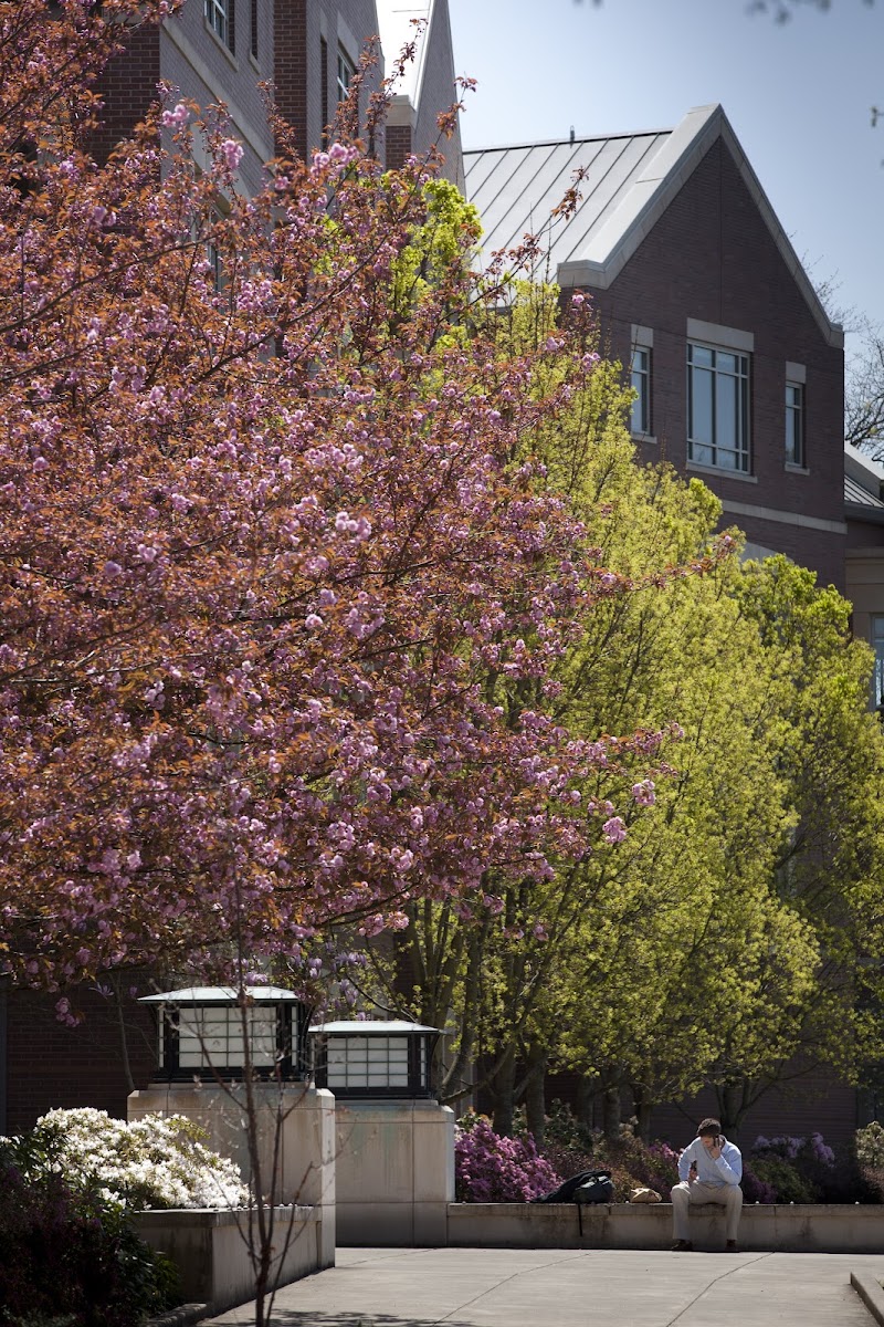 University of Oregon School of Law campus photo 3