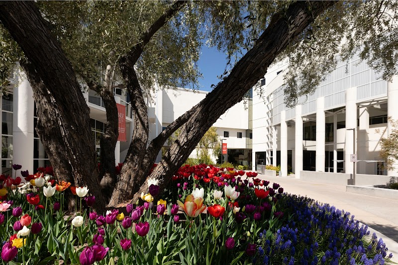 University of Nevada, Las Vegas, William S. Boyd School of Law campus photo 5