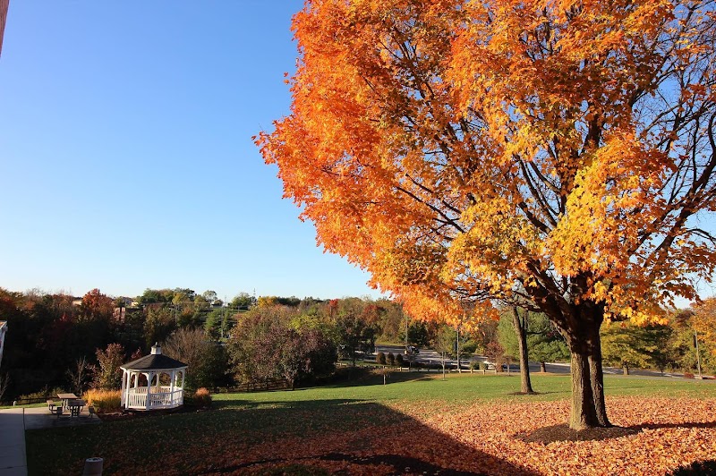 Widener University Commonwealth Law School campus photo 4
