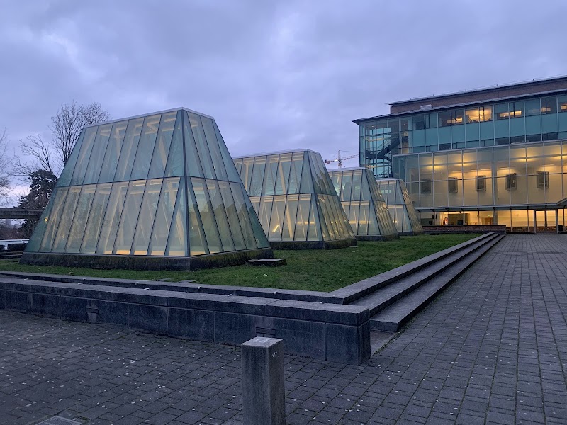 University of Washington School of Law campus photo 1