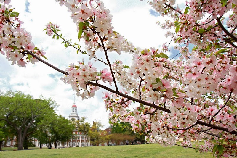 Mercer University School of Law campus photo 1