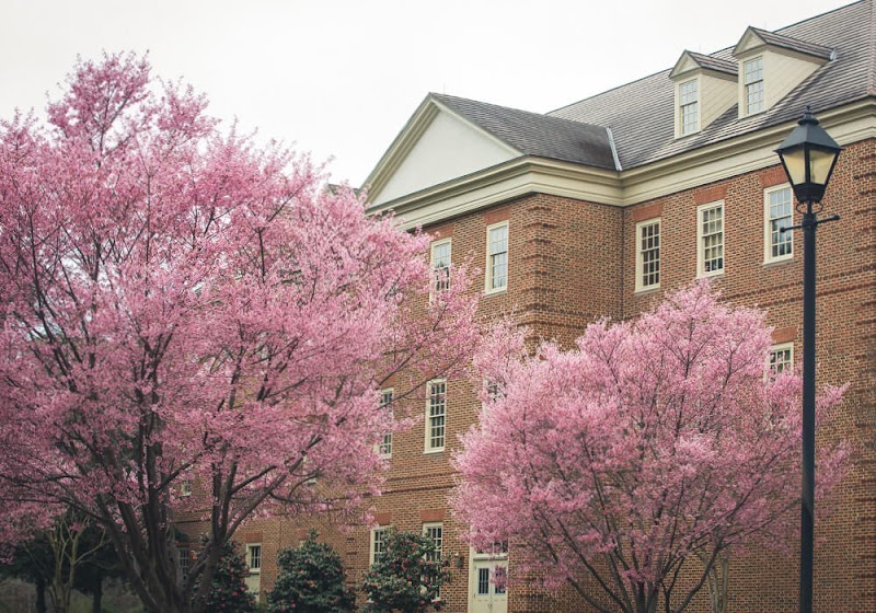 Regent University School of Law campus photo 4