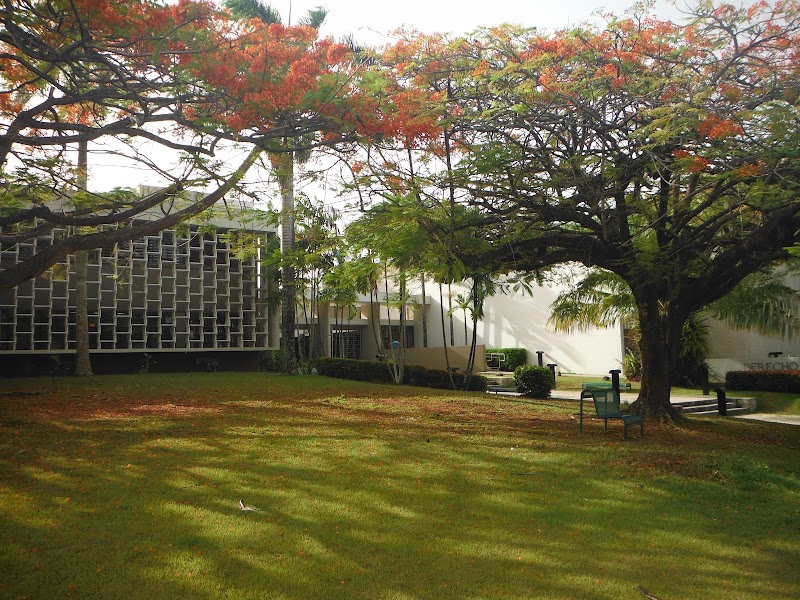 University of Puerto Rico School of Law campus photo 5