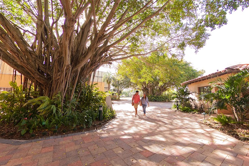 Stetson University College of Law campus photo 5