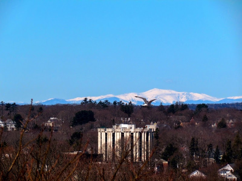 University of Maine School of Law campus photo 5